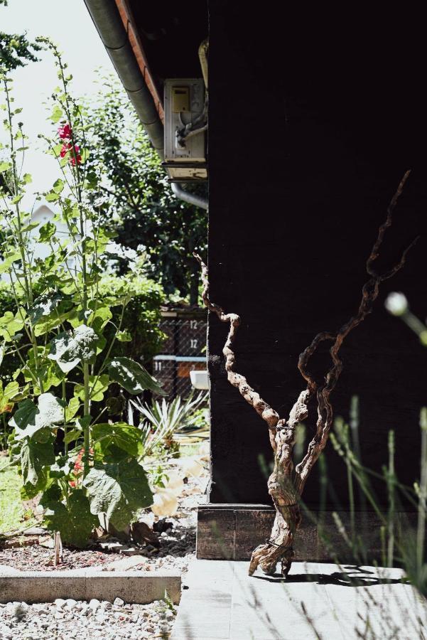 House For Rest Juliet Appartement Velika Gorica Buitenkant foto