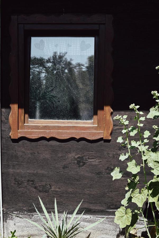 House For Rest Juliet Appartement Velika Gorica Buitenkant foto
